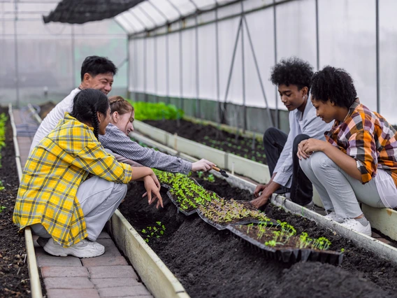 A group of students in a greenhouse working with plants.