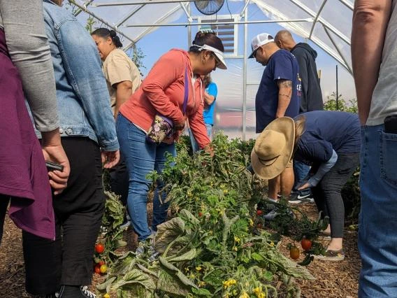 Veteran workforce development participants in the field