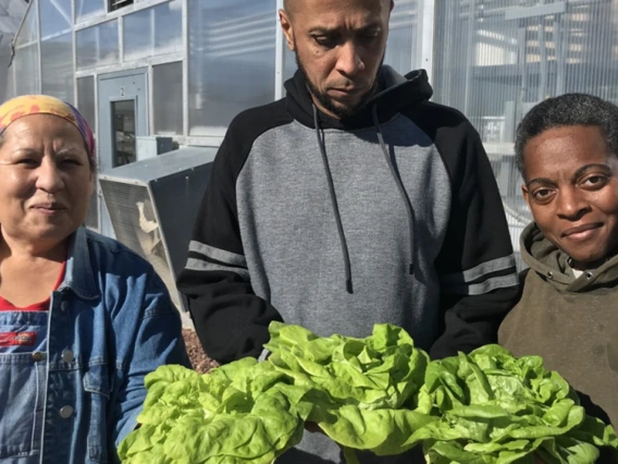 Picture of participants of the  Veterans Agricultural Education and Apprenticeship Program holding lettuce