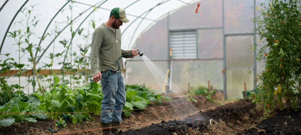 A veteran in the VAEAP waters plants in a greenhouse