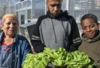 Picture of participants of the  Veterans Agricultural Education and Apprenticeship Program holding lettuce